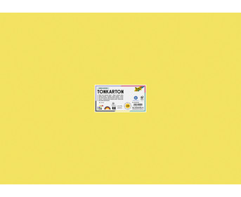 Tonkarton 220 g/m² 50 x 70 cm 100 Bogen 10 Farben