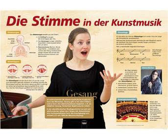 Poster Die Stimme in der Kunstmusik