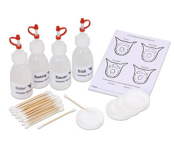 Geschmackstest Kit
