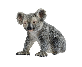 schleich® Koala | detailgetreu & realistisch | BETZOLD