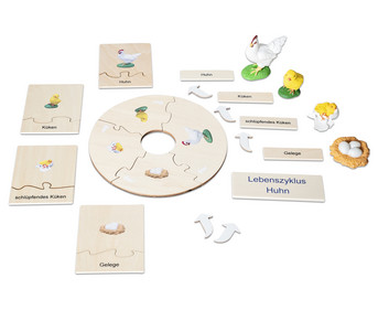 Betzold Lebenszyklen Set
