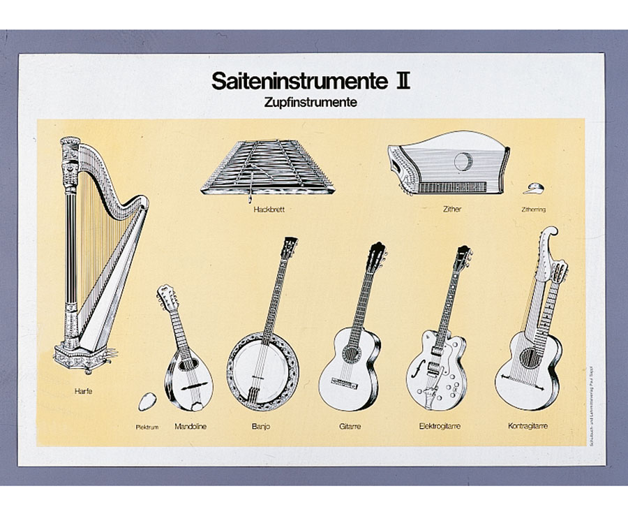 Lehrtafel Instrumentenkunde Saiteninstrumente Namen 70 x 100 cm