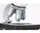 Betzold Mikroskop M TOP 600 7